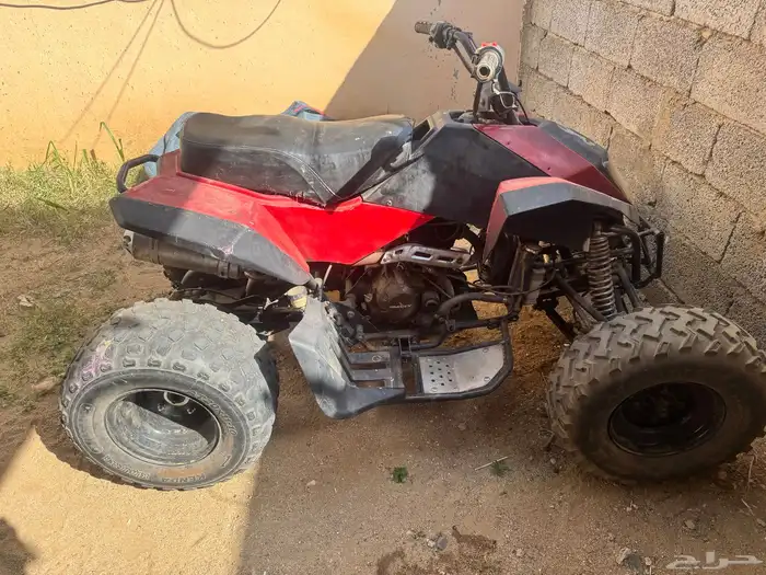 دباب شبيه الرابتر صيني للبيع 0