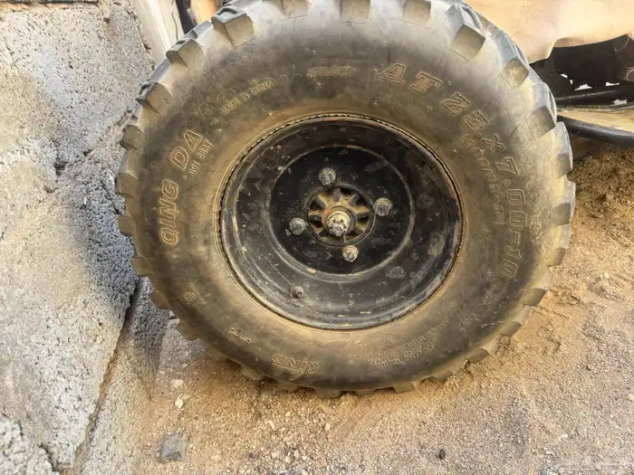 دباب شبيه الرابتر صيني للبيع 6