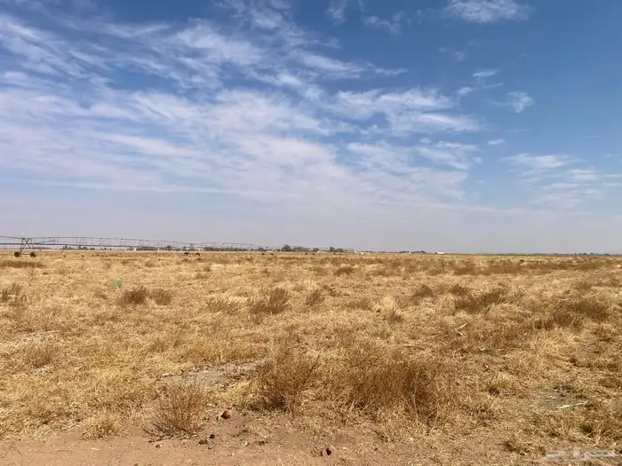 حصيدة اعشاب و بصل للحلال رشاش 6 ابراج 2