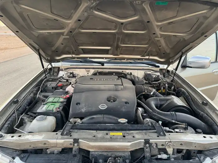 شاص نيسان 2013 9