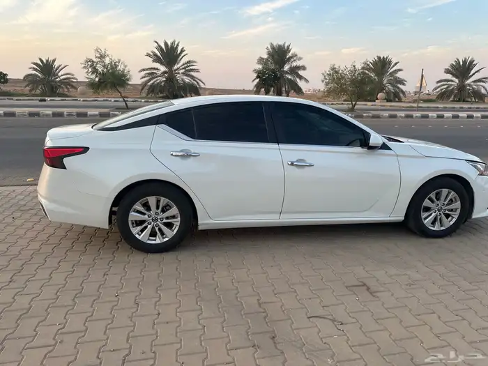 التيما ستاندر 2021 S 1