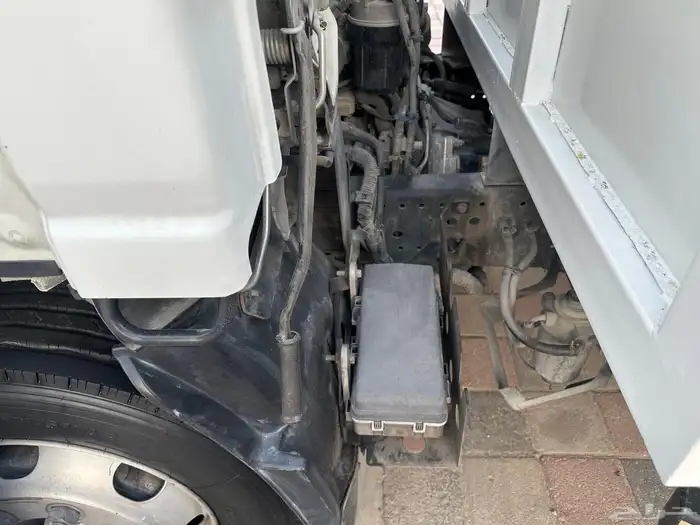 ايسزوز دينه 29