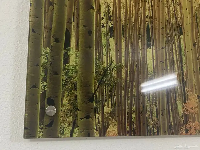 كنبه امريكيه لغرف النوم 10