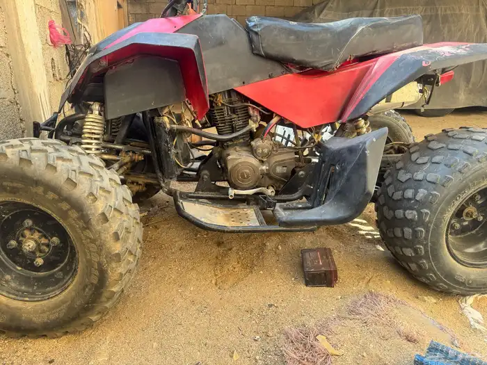 دباب شبيه الرابتر صيني للبيع 3