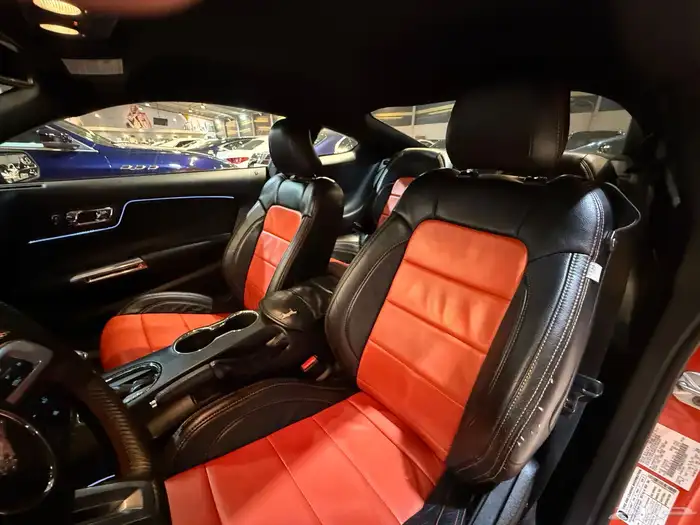 موستنج 2016 (( بحالة ممتازة )) 13