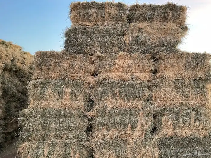 رودس للبيع 0