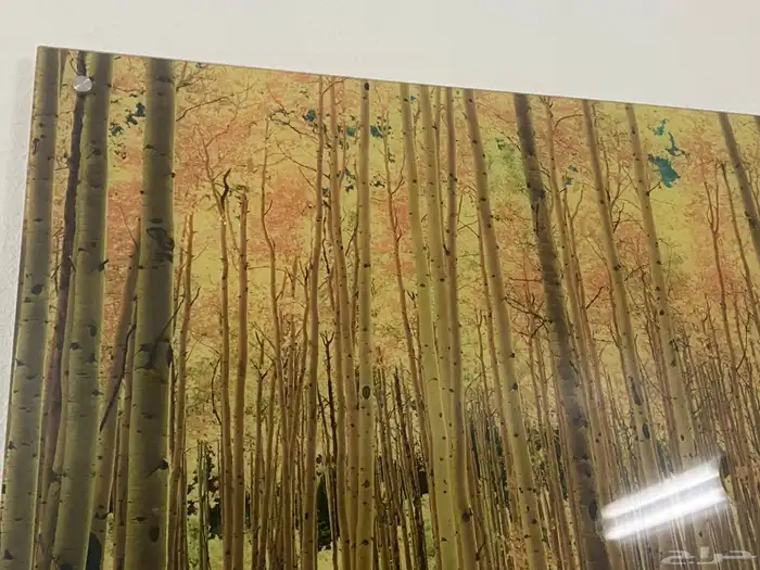 كنبه امريكيه لغرف النوم 7