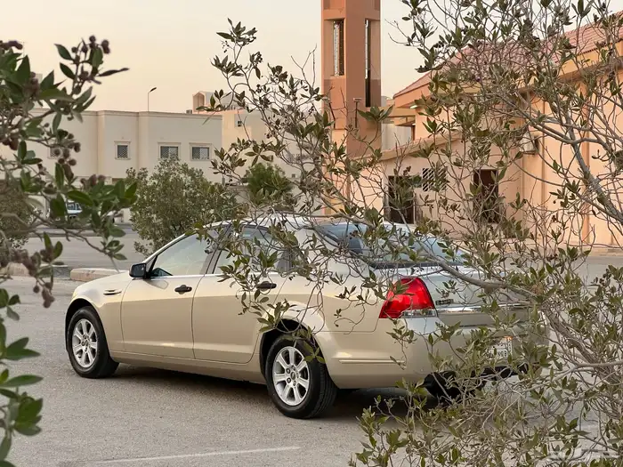 كابرس ستاندر 2010 9