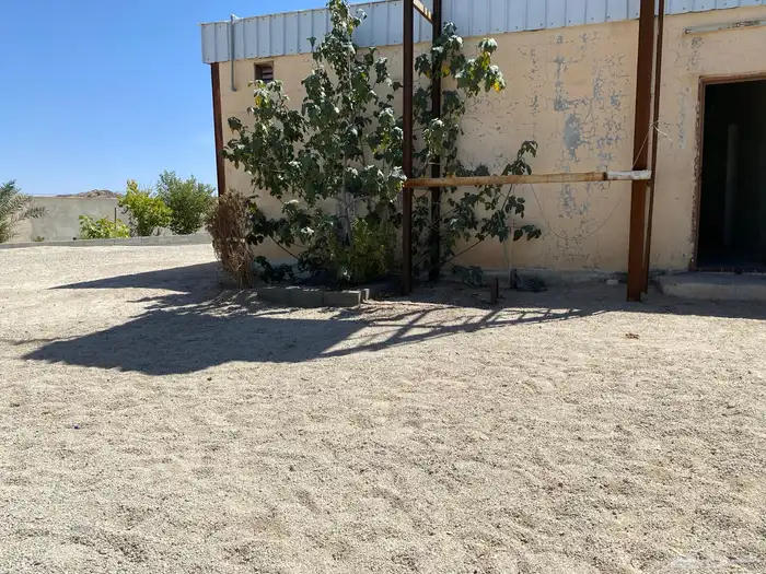 طلب موقع ارض كبيره للحلال في احد رفيده على المدى الطويل 0