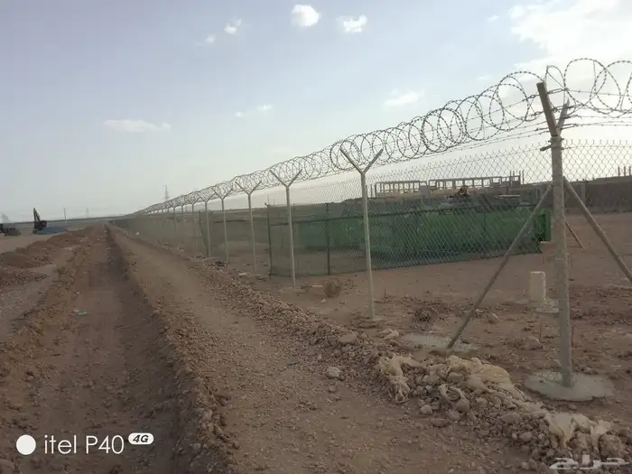 شبوك وسياج 2