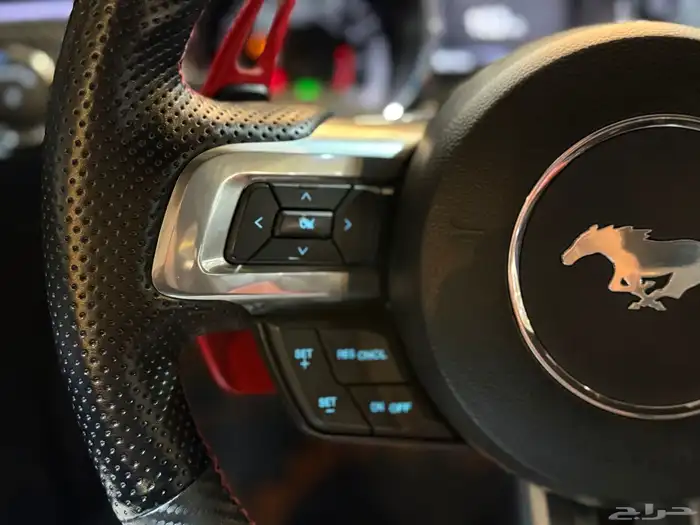 موستنج 2016 (( بحالة ممتازة )) 10