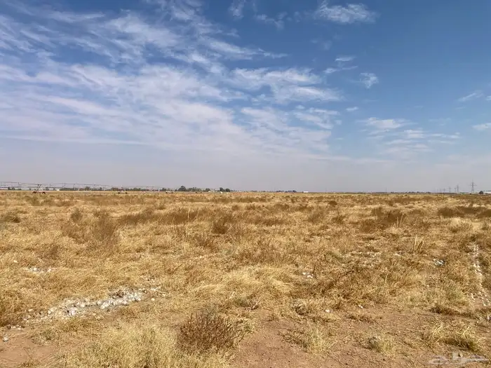 حصيدة اعشاب و بصل للحلال رشاش 6 ابراج 0