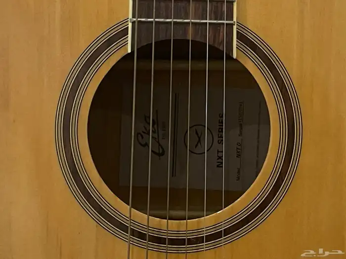 اكوستك قيتار eko 3