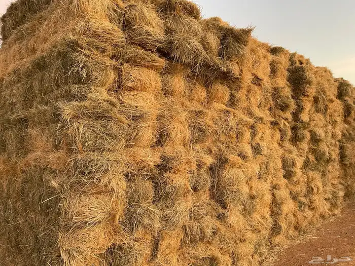 رودس للبيع 3