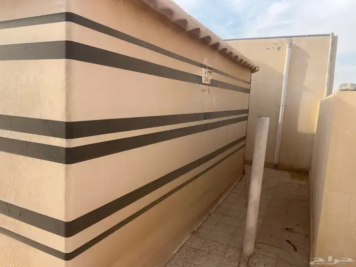 القصيم بريده 3