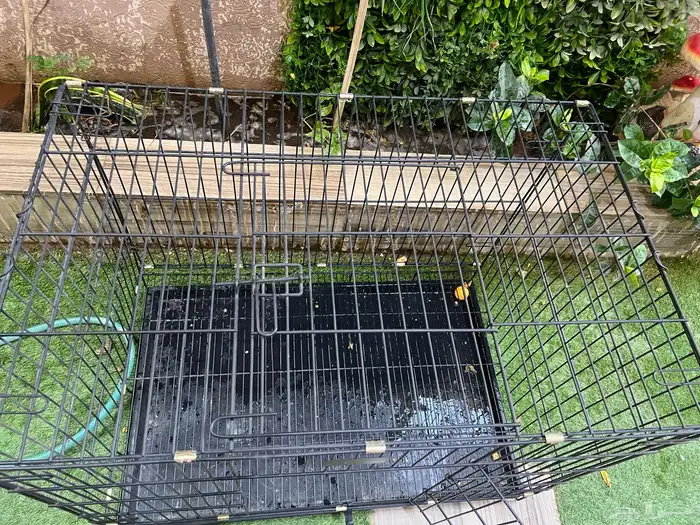 قفص حيونات 0