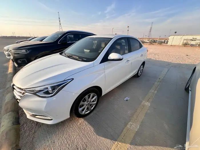 شانجان السفن 2024 5