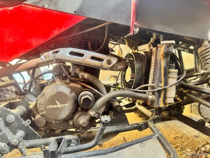 دباب شبيه الرابتر صيني للبيع 4