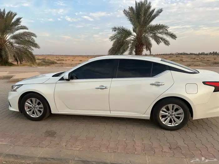 التيما ستاندر 2021 S 2