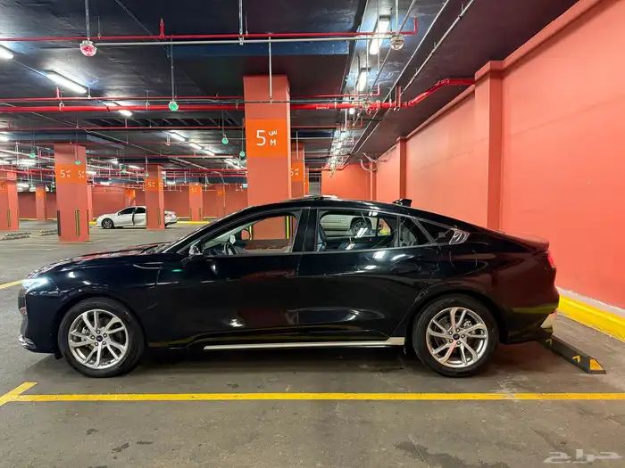 فورس توروس ترند 24