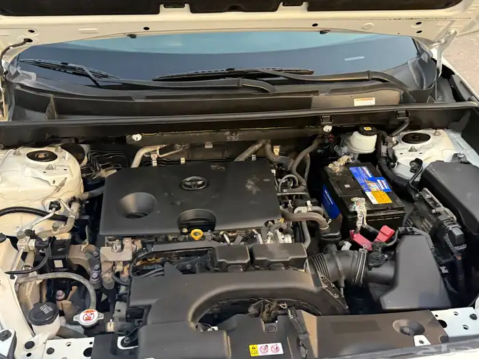 راف فور 2021 نص فل 10