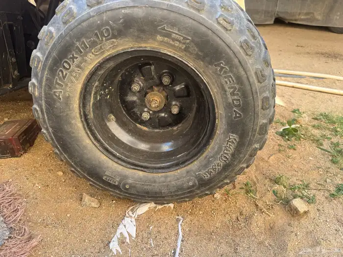 دباب شبيه الرابتر صيني للبيع 5