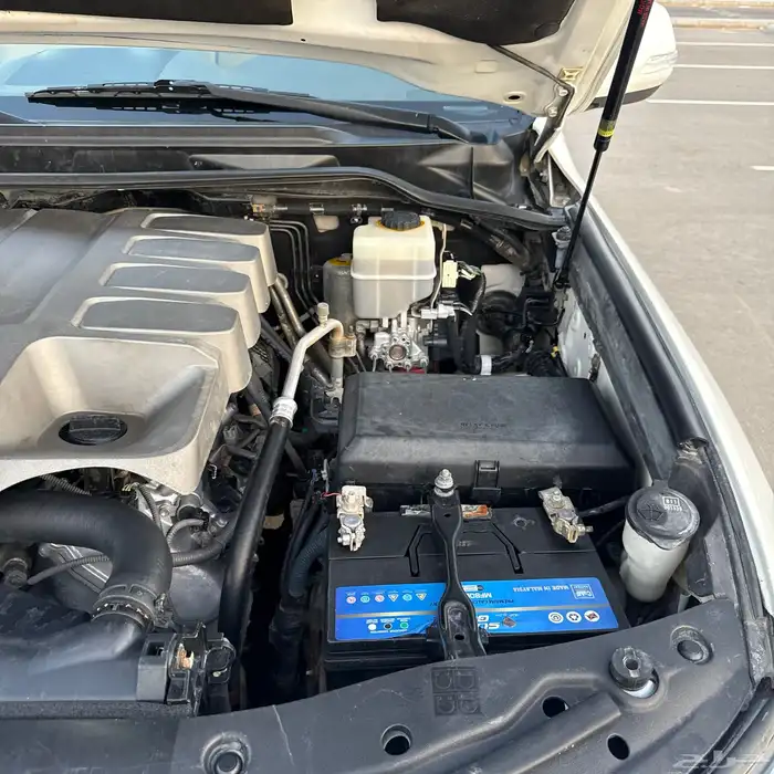 لاندكروزر 53