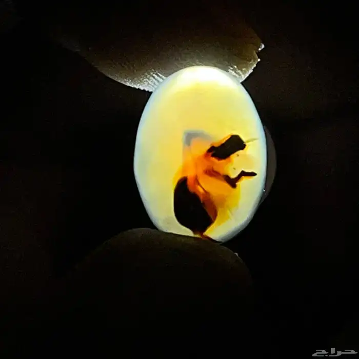 خواتم فضة عيار 925 صياغات منوعة فخامة الخواتم 24