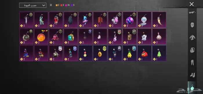 حساب ببجي للبيع 17