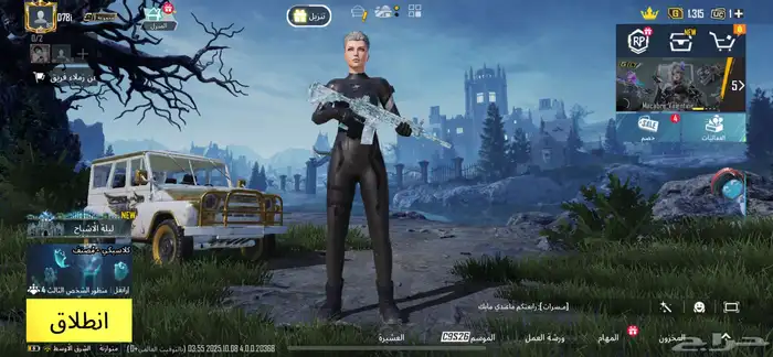 حساب ببجي للبيع 0