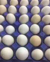 بيض بلدي طازج 1