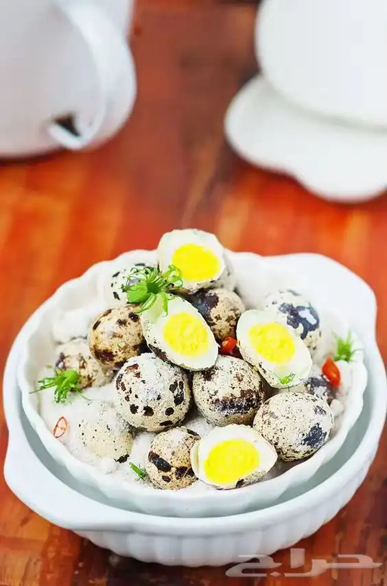 مزارع طائر الرفراف للإنتاج طيور السمان وبيض السمان 2