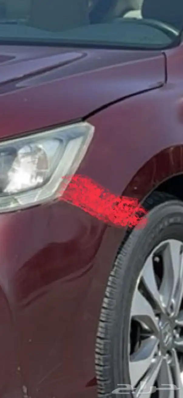 اكورد ستاندر مطور 7