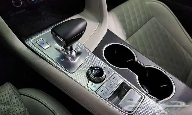 جنسيس - G70 - 2021 17