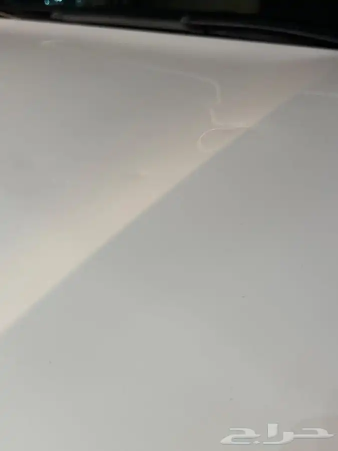 سكوياء 2013 10