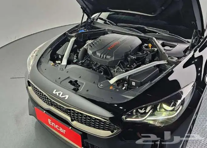 كيا استنقر 2023 معرض الميموني للاستيراد من كوريا 5