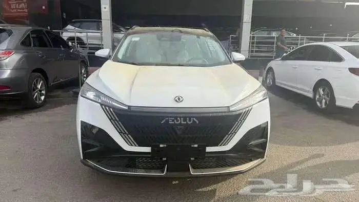 دونج فينج ميج فل كامل 2026 4