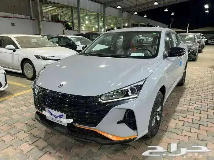 دونج فينج شاين 2026 كاش - تقسيط 1