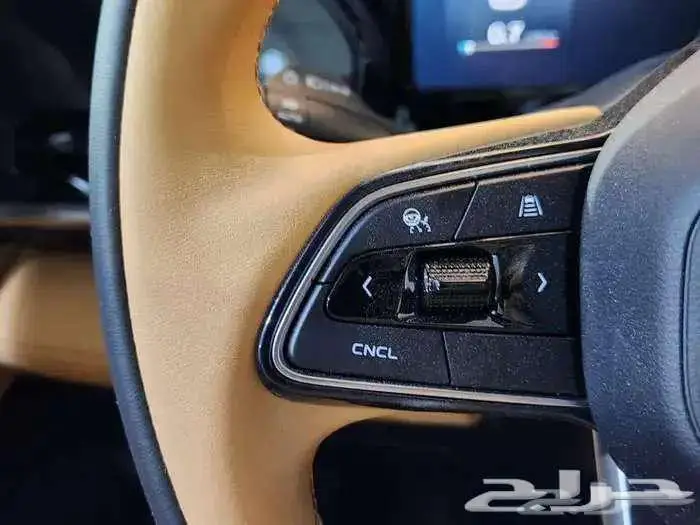 جيلي مونجارو2025 تقسط كاش 23