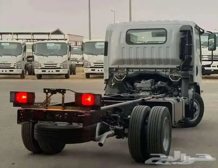 اسوزو دينا 2025 3