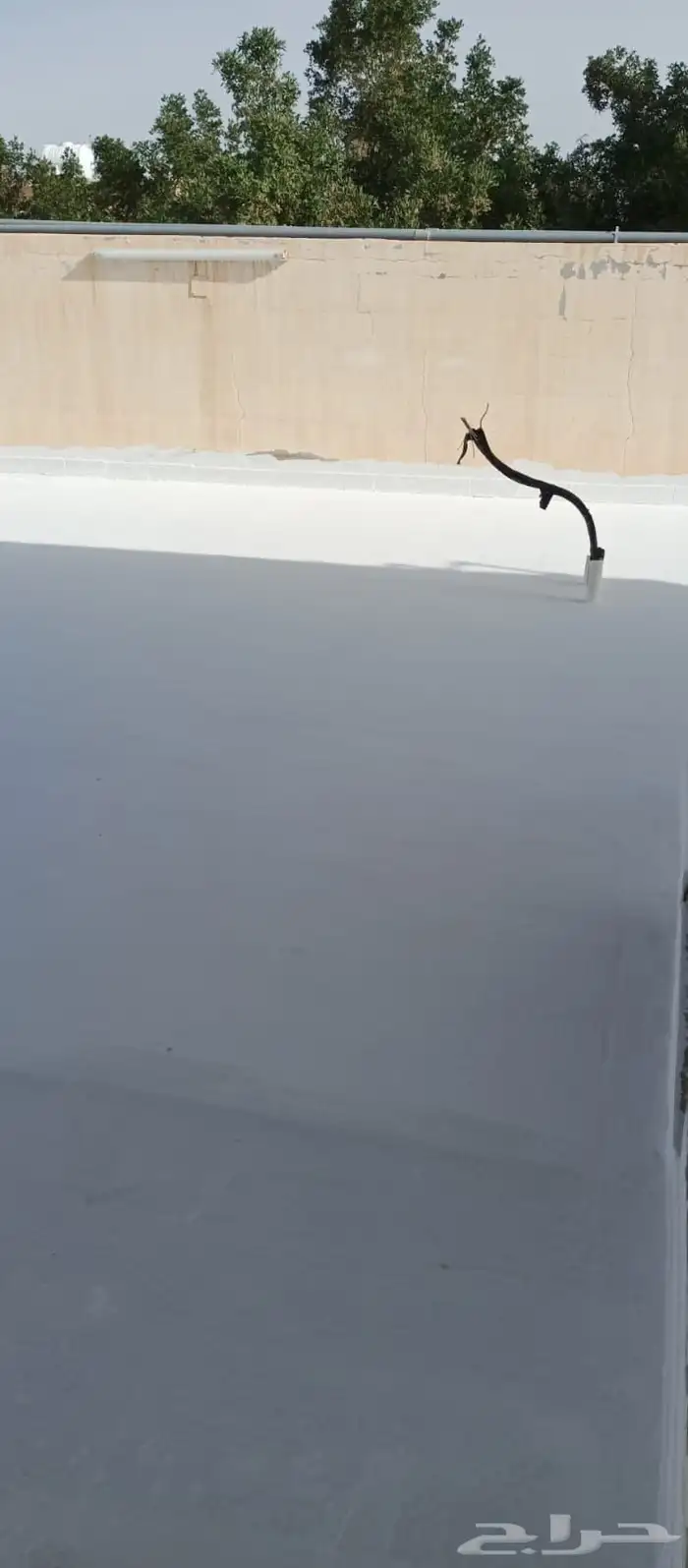 شركة عزل اسطح كشف تسربات الماء 8