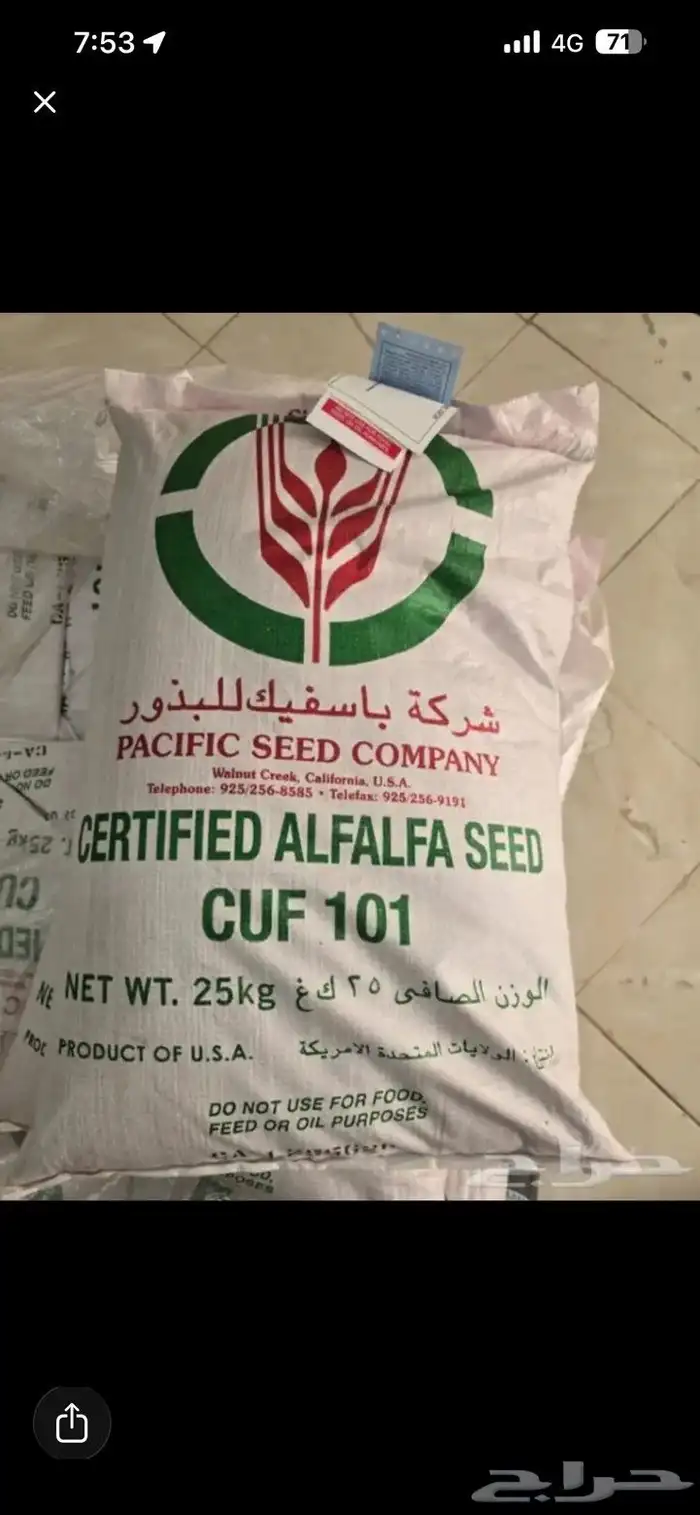 للبيع بذور برسيم باسفيك كاف 101 0