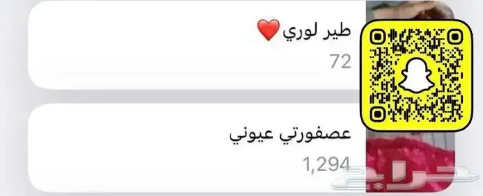 اتبنى طيور بنت من مكة عاشقة للطيور 0