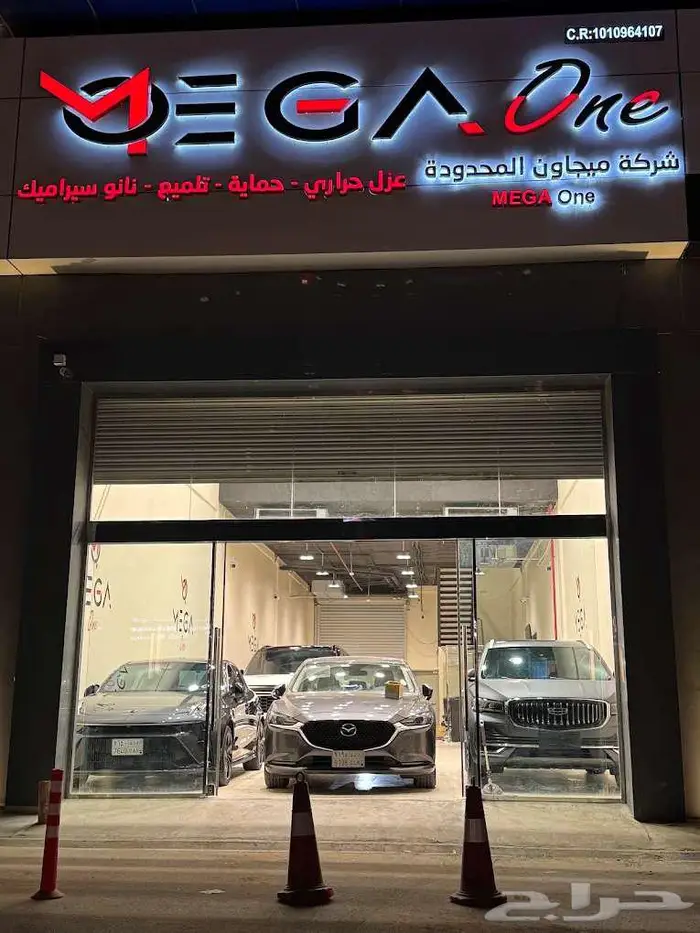 حمايه كامله مطفي 3