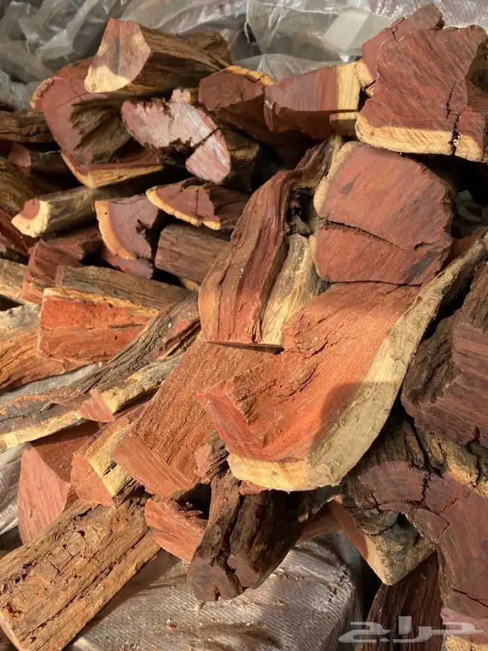 حطب قرض سمر 5