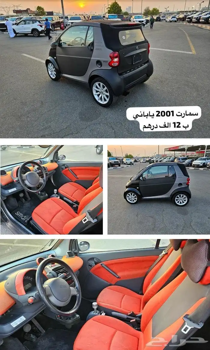 موستنق موستنج 2013 5