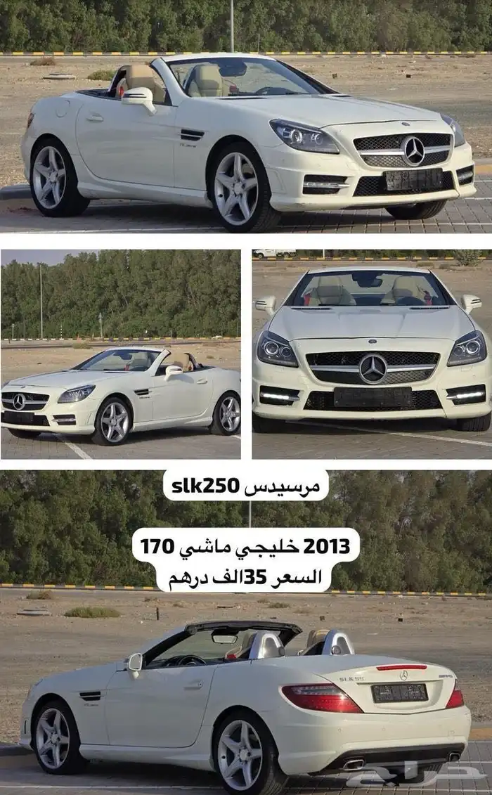 موستنق موستنج 2013 6