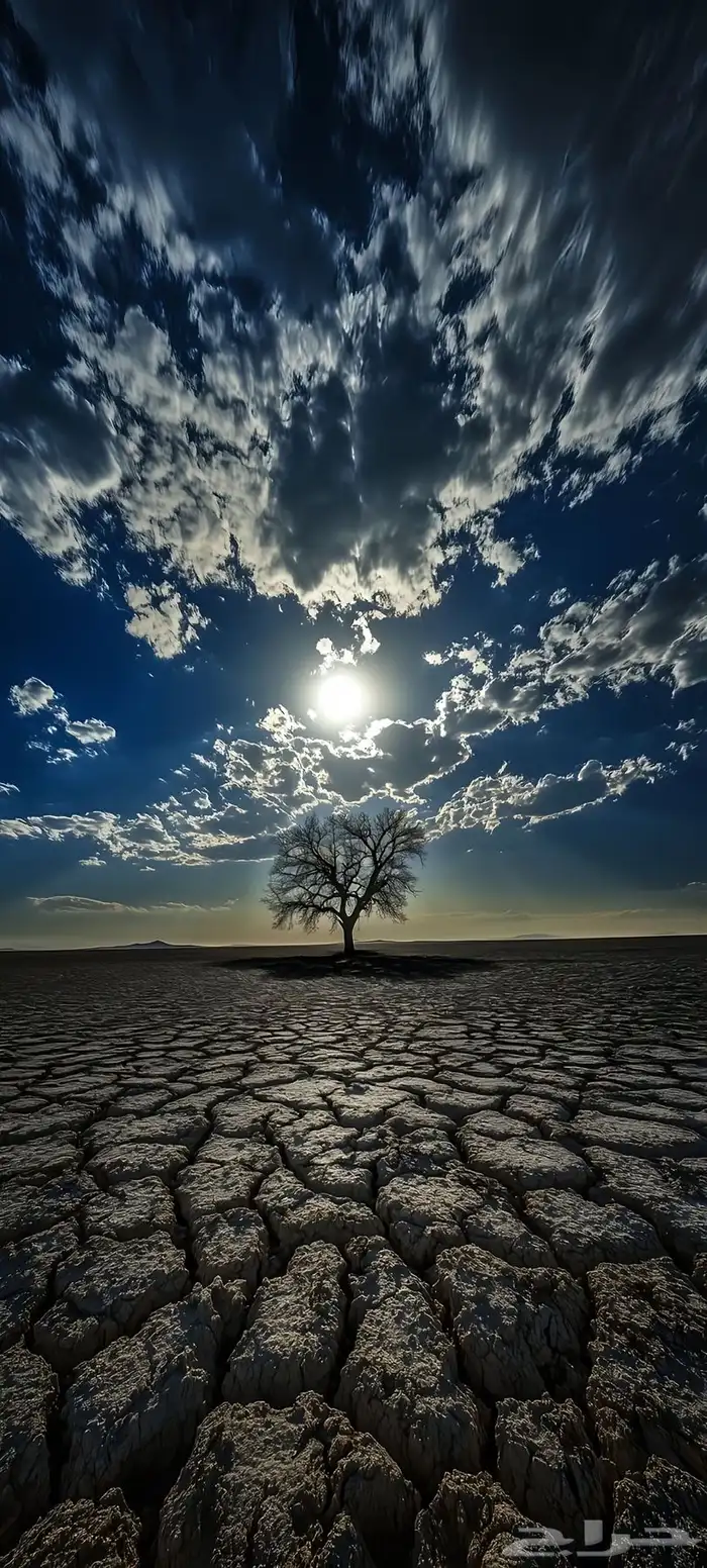 مطلوب امام مسجد في رمضان 0