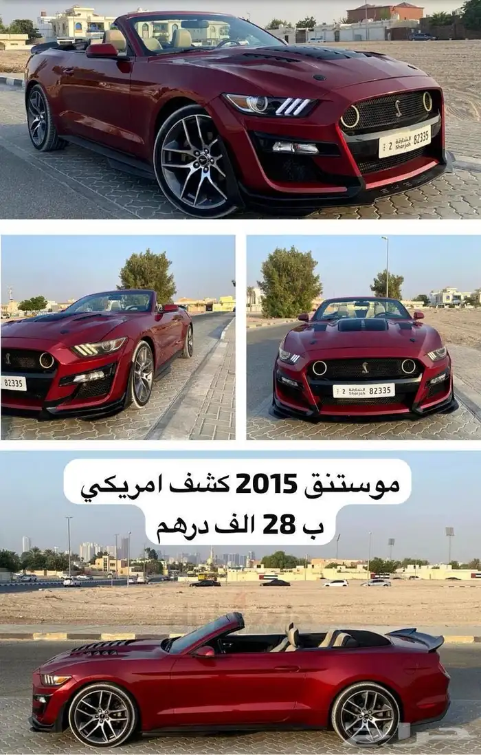 موستنق موستنج 2013 2