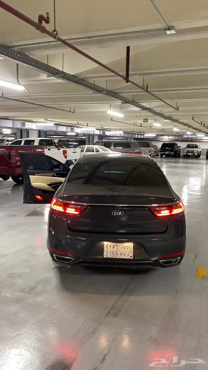 كادينزا 2017 10